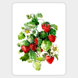 Strawberries Sticker